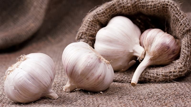 تصویر 3 از سیر فارس حبه بلند با کیفیت ممتاز و طعمی عالی